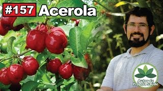 Autor da própria Saúde  Acerola diabetes obesidade melasma sistema imunológico [upl. by Ahselet233]