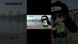 A cat walks over the frozen Han river 💦💗  SKZ Gacha  Lil animation [upl. by Tanitansy]