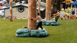 Pole Climbers at the Powell River Loggers Sports July 18th 2016 [upl. by Macegan]