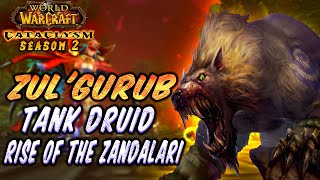 Feral Druid Tank Vs ZulGurub Cataclysm Classic phase 2 l Rise of The Zandalari Cata  Classic WoW [upl. by Anauq891]