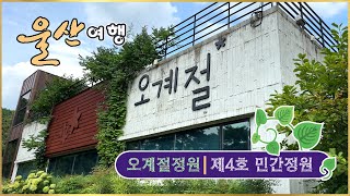 울산여행 오계절정원  울산 제4호 민간정원  울주군  Ulsan Korea [upl. by Bubalo]