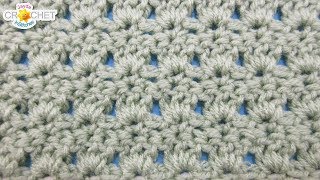 Primrose Crochet Stitch  February  Victorian Stitch Sampler Calendar Blanket [upl. by Apilef]