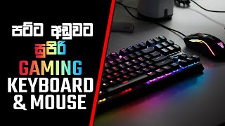 අඩුම මිලට සුපිරි Gaming Keyboard amp Mouse [upl. by Daenis]