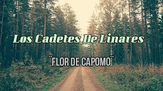 LOS CADETES DE LINARES ¨Flor De Capomo¨ LETRA [upl. by Ettenot]