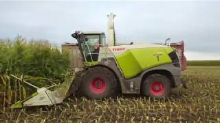 CY Harvesting Silage 2019 [upl. by Sivrup]