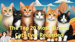 The Top 20 Most Bizarre Cats Ever Recorded [upl. by Berglund]