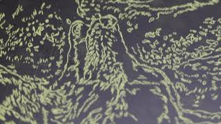 The Etching Process A Documentary of the Intaglio Printmaking Process [upl. by Egidius]