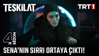 Senanın sırrı ortaya çıkıyor  Teşkilat 94 Bölüm trt1 [upl. by Silvan]