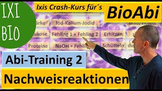 Nachweisreaktionen 1 Nachweis von Glukose Protein Eiweiß Stärke  Abiturtraining 2 Praxisteil [upl. by Schlessinger]