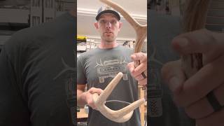 Build a safe set of Rattling Horns this fall Prevent disaster whitetaildeer antlers besafe [upl. by Ainel291]