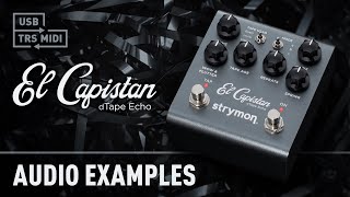 Strymon El Capistan  the PROs Choice for Tape Delay [upl. by Nerek]