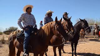 Cabalgata a Quitovac Sonora tohono oodham [upl. by Yalonda190]