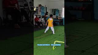 AGILITY LADDER DRILL FOOTWORK TAEKWONDO TRAINING ladderdrills taekwondo bluebelt [upl. by Zeph568]