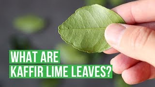 What Are Kaffir Lime Leaves 🌿 [upl. by Namruht]