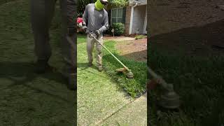 Taking down and edging this liriope muscari 🌾🌾🌾 foryou youtubeshorts satisfying fyp fypage [upl. by Eerat]