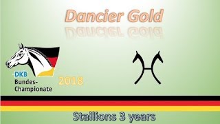 Dancier Gold  Bucha 2018 Stallions 3 Years [upl. by Revell893]