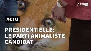 Le parti animaliste se lance dans la bataille présidentielle  AFP [upl. by Airyk]