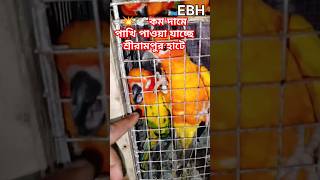 Kom dame pakhi kinun 🤔🕊️😱😱😱 shots eajazbirdshouse viralshorts [upl. by Saval]