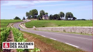 La route des Châteaux du Medoc [upl. by Lasyrc762]