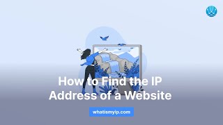 How to Find the IP Address of a Website [upl. by Zubkoff]