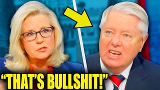 Lindsey Graham SCREAMS At Liz Cheney During On Air COLLAPSE [upl. by Eillak]