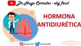 Fisiología de la Hormona Antidiurética ADH  Vasopresina NEUROHIPÓFISIS Profesor Hugo Corrales [upl. by Animahs]