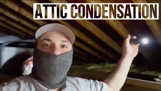 Poor Attic Ventilation  Condensation in Attic [upl. by Notyalk]