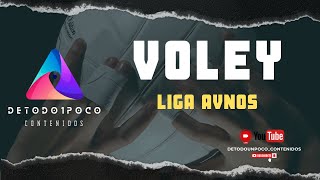 VOLEY FEMENINO  Liga AVNOS [upl. by Mcmullan]