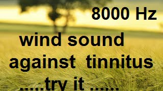 10 minutes wind at 8000 Hz as sound therapy for tinnitus [upl. by Emmet]