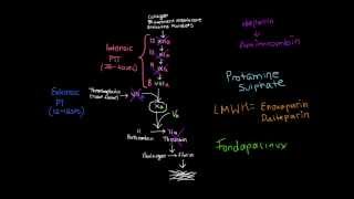 Pharmacology Heparin [upl. by Names446]