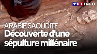 Arabie saoudite  lincroyable découverte dun tombeau millénaire devant nos caméras [upl. by Ruhtra]