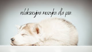 Relaksacyjna muzyka dla psa vol2 [upl. by Esserac]