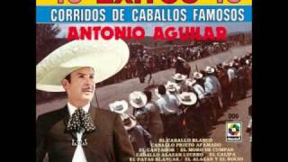 Antonio Aguilar El Grano de Orowmv [upl. by Hopfinger336]