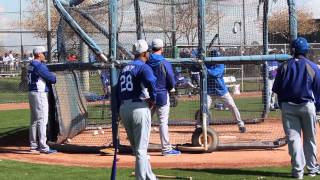 Yasiel Puig taking BP at Spring Training [upl. by Tyre]