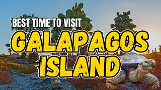 The ultimate GALAPAGOS Island travel guide 🏝️ [upl. by Deering726]