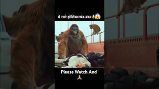 Planet Of The Apes Full Movie Explained HindiUrdu shorts [upl. by Lamberto]