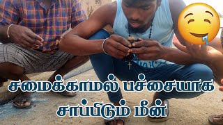 குச்சி மீன் சமைக்கப் போறோம்  உங்கள் குமரி மீனவன் fishingvideo seafood fish fishinglife prawns [upl. by Stahl]