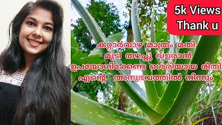 How to use aloe vera for hair growth ll Malayalam കറ്റാർവാഴ മുടിയിൽ എങ്ങനെ ഉപയോഗിക്കാം [upl. by Ches]