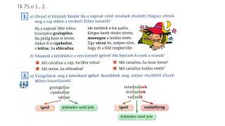 Az ige feltételes módja [upl. by Jacques]