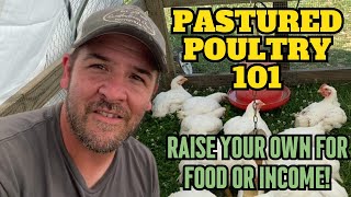 Raising Pastured Poultry Broilers the RIGHT way A Comprehensive 101 Guide [upl. by Aidaas]