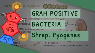 Gram Positive Bacteria Streptococcus Pyogenes [upl. by Housen]