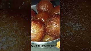 How to make tasty gulab jamun\MTR gulab jamun\English Classic Indian sweetGulab jamunRose berries [upl. by Liesa]