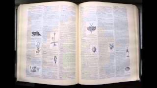 Agrammatisme  Dictionnaire français audio [upl. by Devina368]