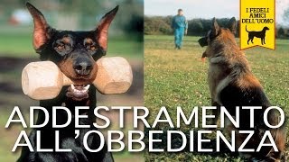 ADDESTRAMENTO ALLOBBEDIENZA trailer documentario cani e cinofilia [upl. by Dardani451]