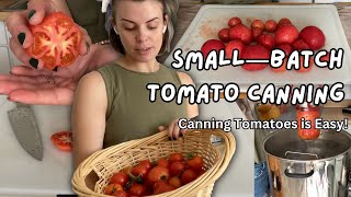 Canning Tomatoes  EASY way to can a small batch of tomatoes [upl. by Saxela]