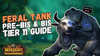 The Feral Druid Tank PreBIS amp BIS Guide  Cataclysm Classic [upl. by Eve647]