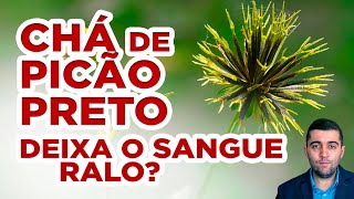 Elixir poderoso contra veias entupidas e má circulação chá de picãopreto e efeitos contra coágulos [upl. by Westleigh]