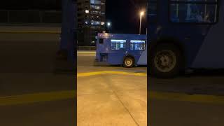 shorts YRT 580 on route 88 Bathurst to Seneca College King Campus [upl. by Aytida]