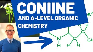 Coniine  An Organic Chemistry Profile [upl. by Suruat]