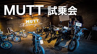 【MUTT MOTORCYCLES MASTIFF 250】試乗して感じたST250Eとの比較！Hilts 250のカスタム車がカッコ良すぎた【モトブログ】 [upl. by Wojak]